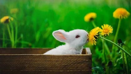 中证现金流交易所股债恒定比例30/70指数报2607.60点