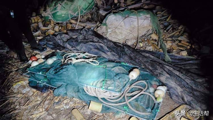 夜晚非法捕捞“水中软黄金”，无人机实时监控，现形！