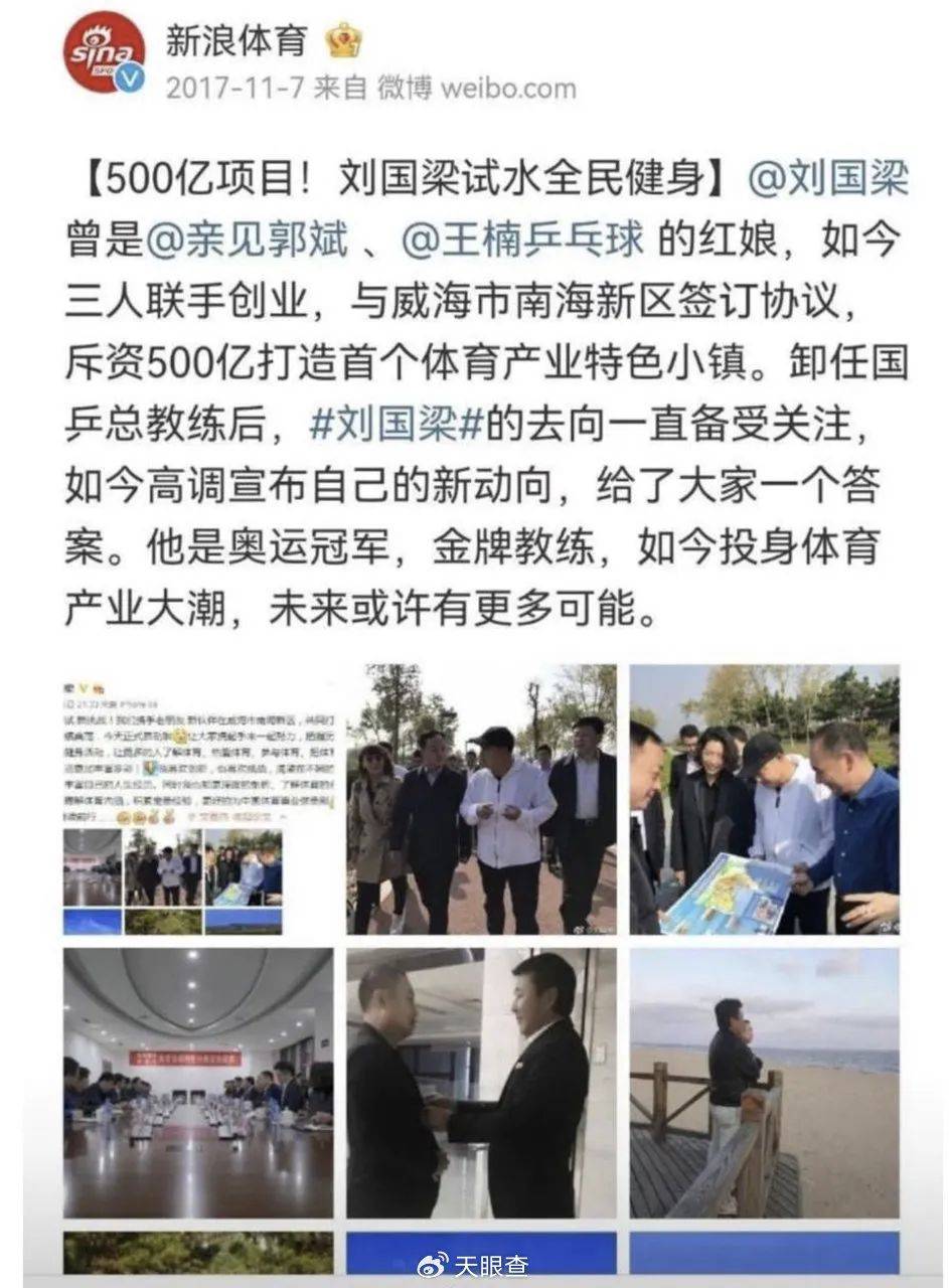 刚辞去中国乒协主席职务的刘国梁关联多家企业，持股人包括其妻子和岳父