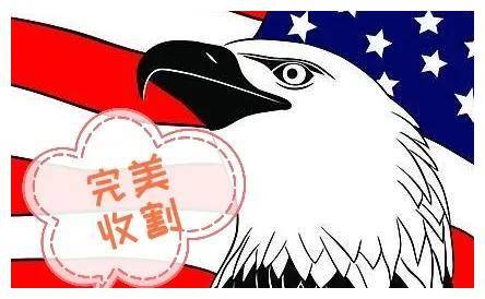 世纪诈骗之比特币