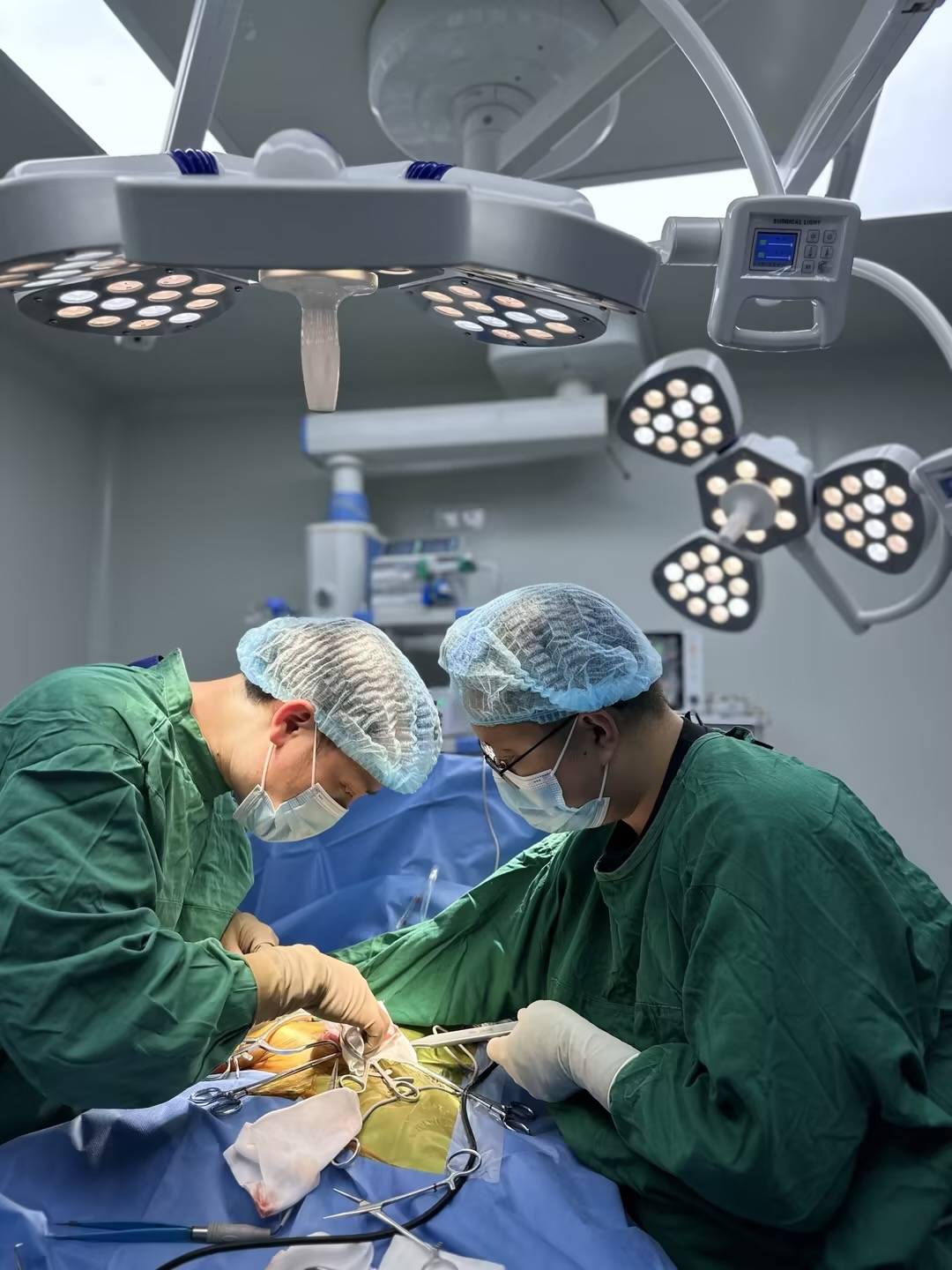 恒幸动物医院多少钱？