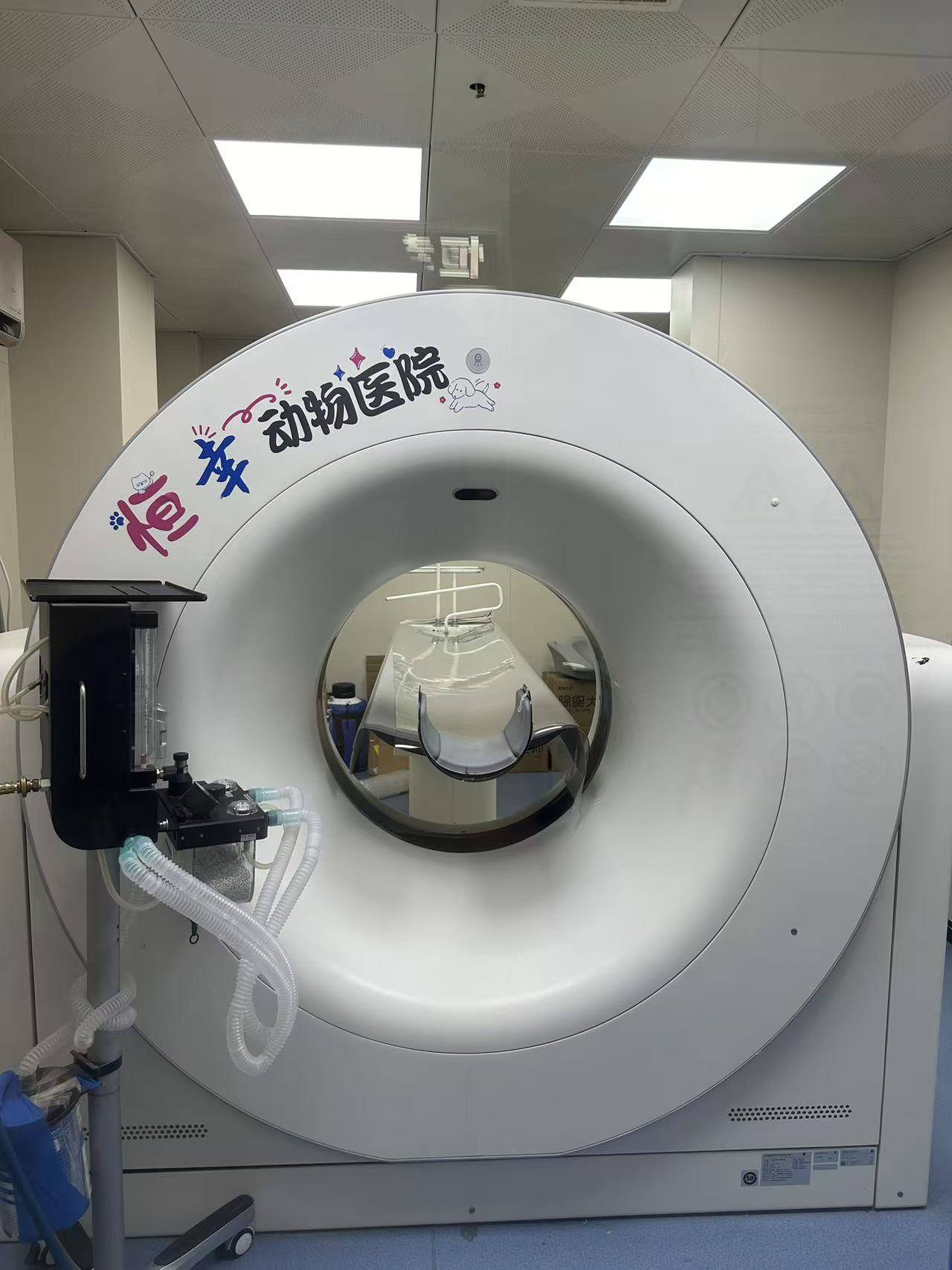 恒幸动物医院多少钱？